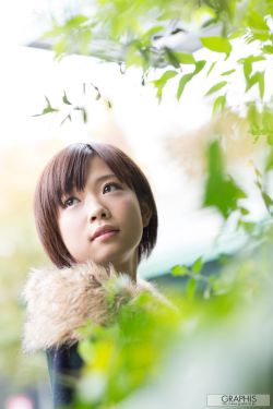 6080伦理线2019