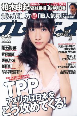 我是李佑电视剧