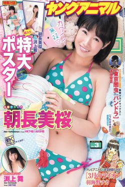 日本高清va不卡视频在线观看