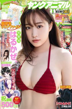 电视剧步步惊心全集