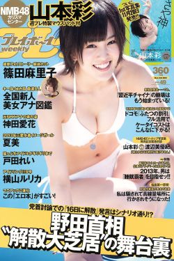 雇佣老公HD